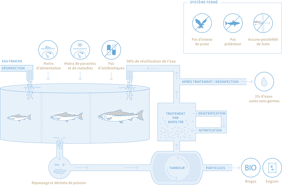 LachsLifeFR - SWISS LACHS Alpiner Lachs