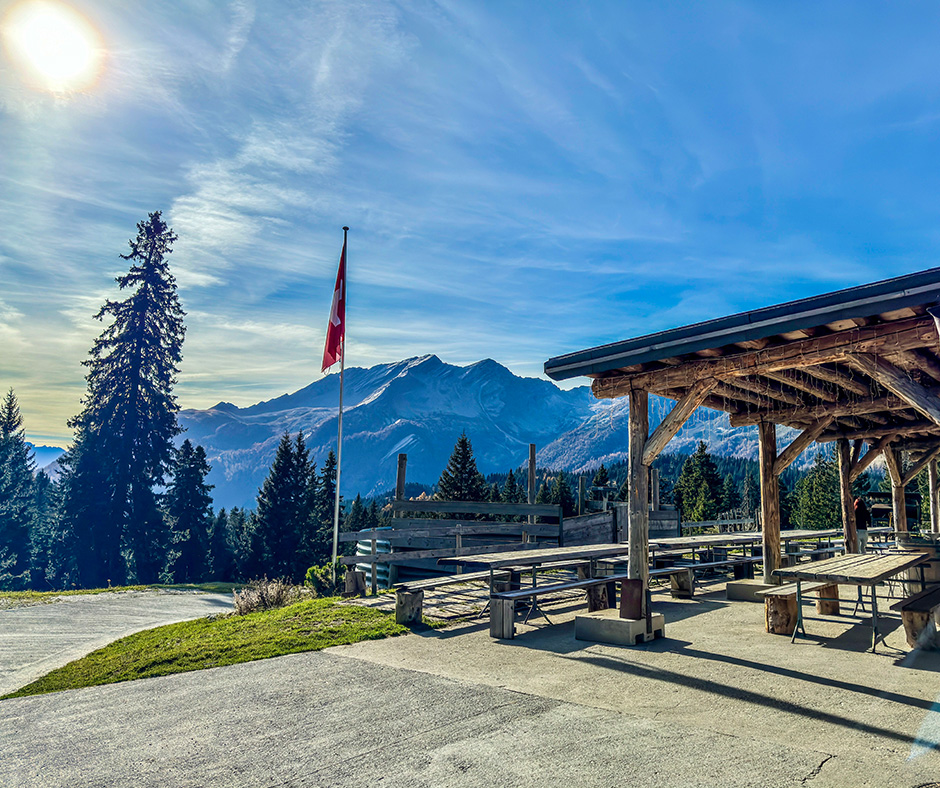 swiss lachs alpe pian doss style - SWISS LACHS Alpiner Lachs