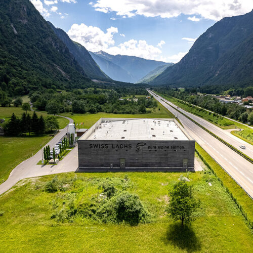 swiss lachs die geschichte - SWISS LACHS Alpiner Lachs