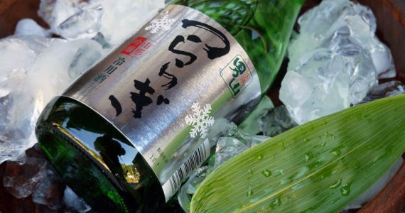 swiss-lachs-lachs-und-sake